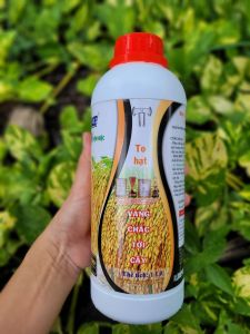 [VTNN TIEN KHOA] Phân bón lá KALI ĐEN đậm đặc giúp lúa nếp vô gạo nhanh chín chắc tới cậy hạt vàng sáng chắc chai 1 lít