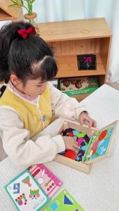 FCTONGMUXING    Magnetic Tangram Puzzle for Cognitive Development for 3-6 Year Olds