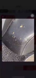 Atlas Waterproof Leather Motor Seat Cover – Sun & Dustproof Protection Cushion Mat for EX5  Motorcycle Leather Case