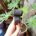 GoPro Media Mod for GoPro Hero 9 / 10 / 11 Black Mic External GoPro. 