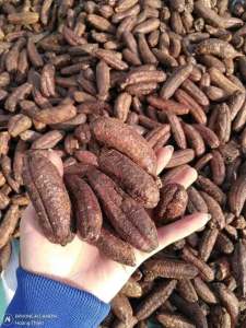 Chuối hột rừng (gói 1kg) chuối chín cây sấy khô chuối mật rừng đau lưng mỏi khớp sỏi thận tan biến HN