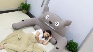 Air Pump Floatation Bed Cartoon Inflatable Mattress Double Home Single Folding Mattress Thickened Outdoor Portable Totoro