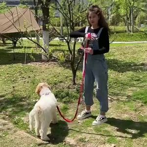 FCTRUELOVE Elastic Dog Leash Rope Nylon Leash Running Comfortable Extendable Dogs Leash for Medium Large Dogs Running Jogging Walking