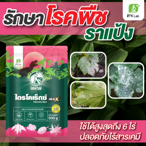 รักษาโรค ราแป้ง ใบขาว ผลขาว เชื้อไตรโคเดอร์ม่า ป้องกันและรักษาโรคพืชได้ทุกชนิด กำจัดเชื้อราโรคพืช ให้พืชไม่เป็นโรค ปลอดภัย ไตรโคเร็กซ์แม็กซ์ 500 กรัม