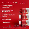 Goli PH Apple Cider Vinegar Gummies for Weight Loss Nutritional Supplements Vitamin C. 