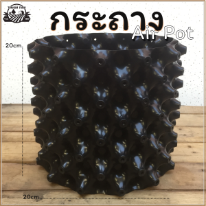 กระถางAir Pot ปลูกต้นไม้ กระถางแอร์พอท กระถางเพิ่มรากต้นไม้ (สินค้าพร้อมส่ง)