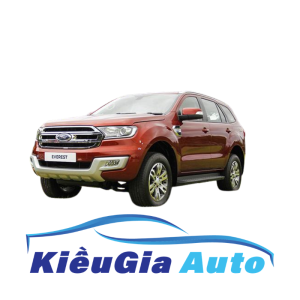 Bi tê liền chuột côn Ford Everest 2016-2021 Chính hãng
