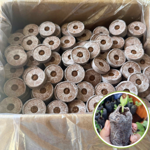 100 VIÊN NÉN XƠ DỪA - Ươm Hạt Trồng Rau Thủy Canh Ươm Cây Giống