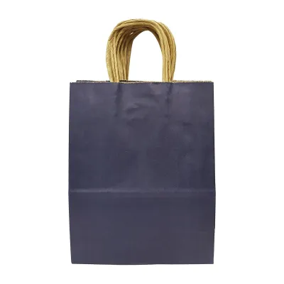 CGS Kraft Paper Bag (21x27x11cm) (Dark Blue) (12PCS)