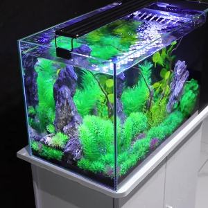 Aquarium Tank Fish Tank Full Set Fish Aquarium Small Fish Tank 3-in-1 Ultra-clear Glass Side Filter Desktop Tank Aquarium Tank Fish Tank Full Set