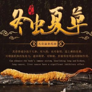 4pcs Dried Tibet Cordyceps caterpillar fungus Dong Chong Xia Cao ChongCao Cong Cao Cordyceps Sinensis Hyphas Mycelium 1g 4pcs/g