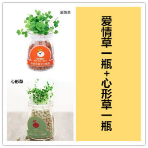 创意diy负离子水培盆栽绿植物办公室桌面陶碳球防辐射迷你小盆栽