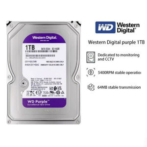 Western Digital Purple Disk mechanical disk 1TB and 2TB versions specially designed for surveillance cameras