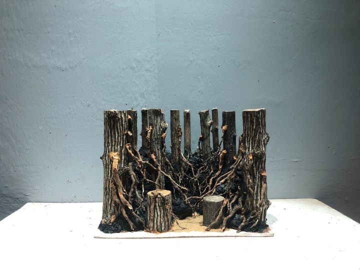 Combo Lũa Thạch Sùng, Đá và Rễ về làm layout rừng cực đẹp | Lazada.vn