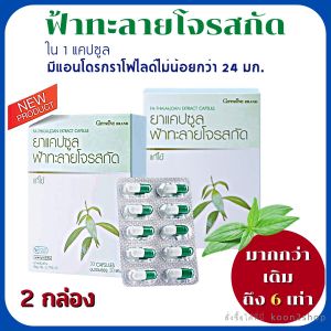 ส่งฟรี เซท สารสกัดฟ้าทะลายโจร แคปซูล 2 กล่อง กิฟฟารีน กิฟฟารีนแท้ สารแอนโดรกราโฟไลด์ ไม่ต่ำกว่า 24 มก. ฟ้าทะลายโจรผง ฟ้าทะลายโจรแท้ Giffarine