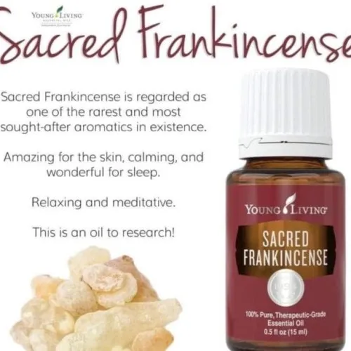 Young Living Sacred Frankincense Essential Oil 15ml | Lazada Singapore