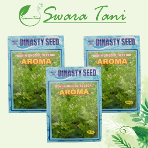 Benih Seledri Hijau Lebat AROMA 10 gr Dinasty Seed