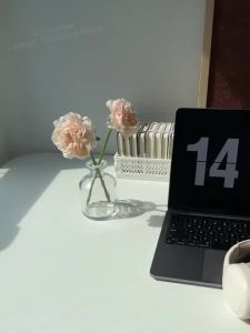 Choice Lenovo TH30 Wireless Bluetooth 5.3 Sports Headphones with Microphone Music Foldable Low Latency Gaming Earbuds for