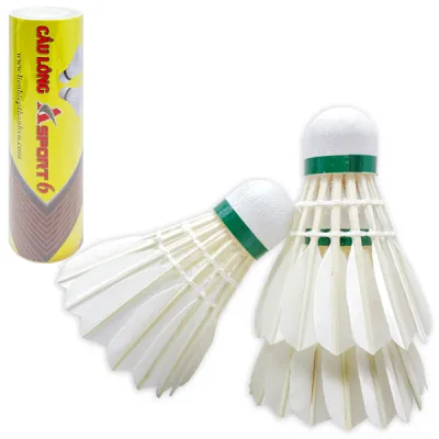 Hộp 6 Quả Cầu Lông AS6 - Liên Hiệp Thành CLAS6