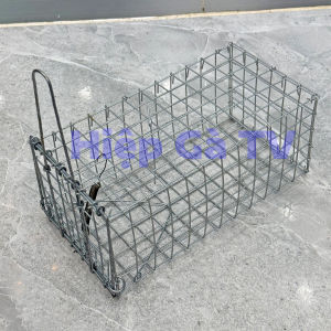 Bẫy Chuột Cống Nhum 10x12x24cm Có Khoen Chống Sẩy