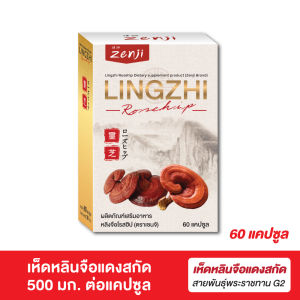 เห็ดหลินจือแดง G2 ชนิดสกัด 550 มก. (60 แคปซูล) + วิตามินซีจากโรสฮิป 50 มก. หลินจือ เห็ดหลินจือ G2 เห็ดหลินจือสกัด เห็ดหลินจือแคปซูล zenji เซนจิ
