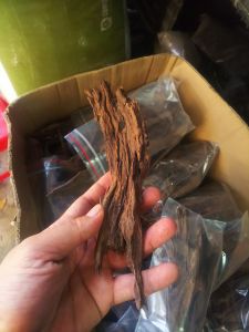 Lũa nhẹ thủy sinh terrarium HÀNG ĐẸP