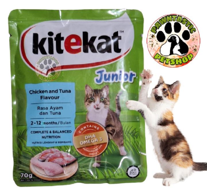 KiteKat Cat Wet Food 70g Kitten Chicken & Tuna Lazada PH