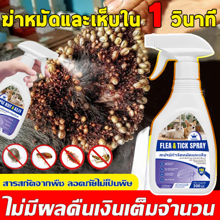 👍1วินาทีฆ่าเห็บหมัด👍กำจัดเห็บและหมัด กำจัดหมัดหมา กำจัดเห็บหมัด กำจัด ...