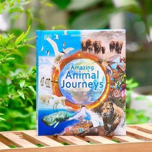 Sách Amazing Animal Journeys (bìa cứng) - Những chuyến di cư và hành trình phi thường nhất - Đinh Tị