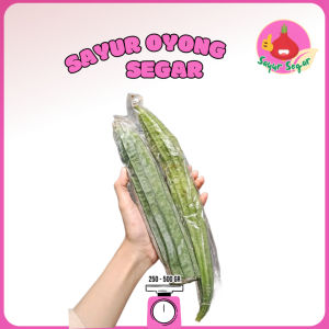 Sayur Segar - Oyong Segar / Sayur Oyong / Ridge Gourd
