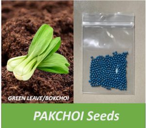 PAKCHOI / BOKCHOI Seeds