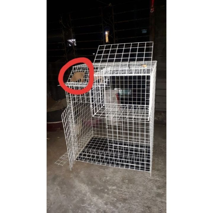 2024 Trapdoor for Pigeon Loft Cage Trap Door | Lazada PH