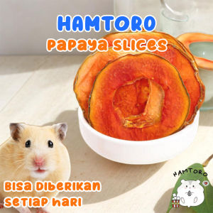 Hamtoro Papaya Slice Snack Hamster Sugar Glider Kelinci Makanan Dehydrated