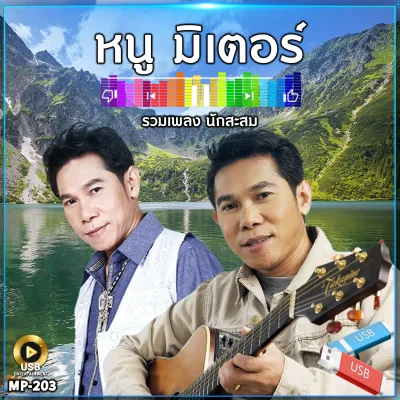 แฟลชไดร์ รวมเพลง หนู มิเตอร์ 22 อัลบั้ม 240 เพลง รหัส MP-203