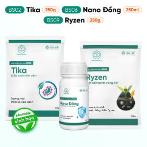 Combo Ngừa Nấm Bệnh BS06 Nano Đồng BS02 Tika BS09 Ryzen Cho Rau Màu Cây Trồng - Đốm Lá Héo Xanh Lở Cổ Rễ - Bác Sĩ Cây Xanh