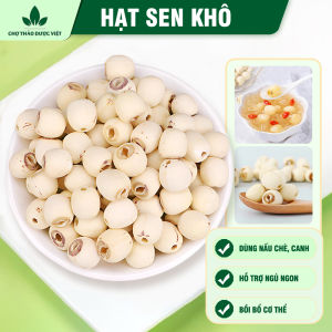 Hạt sen khô 500g hạt sen Huế thơm bở nấu chè hầm canh thơm ngon bổ dưỡng
