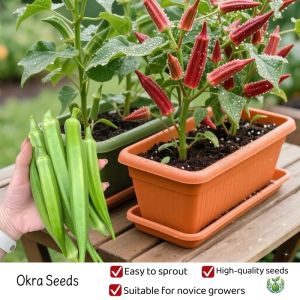 30pcs/pack Okra Seeds Legit Seeds 100% Original Seeds Fresh Non GMO High Yield Suitable for novice growers Seeds Delicious Juicy Easy To Grow Plants Seeds of good quality are easy to grow seeds can be planted both indoors and outdoors High-quality seeds