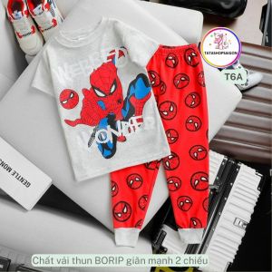 T142 Bộ quần áo dài tay bé trai thun borip xuất dư 8 đến 42kg
