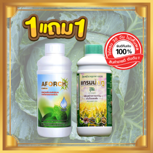 เอฟอชสารจับใบ AFORCH ขนาด 1000 ซีซี (1ขวด) แกรมม่าทู จอมยุทธ์ ปุ๋ยน้ำ 1000 ซีซี (1 ขวด) สารจับใบ ชนิดพิเศษ เร่งการดูดซึม สารดูดซึมเอฟอช