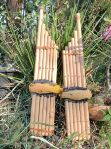 แคน เครื่องดนตรีพื้นบ้าน