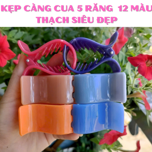 Kẹp càng cua 5 răng màu trong nhựa dẻo đẹp 1lố ( 12 cái hình thật giá sỉ )