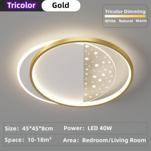 Nordic Tricolor Dimming/ Remote Control LED Ceiling Light Bedroom/Living Room Light Center Light Ceiling Lamp