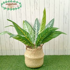 Pohon Daun Aglonema Hijau Strip Artificial Pot Dasar Hitam Cover Purun Belly Dekorasi Ruang Tamu Aesthetic