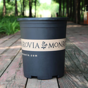 กระถางต้นไม้ (แถมฟรีจานรอง) ป้องกันรากเน่า - กระถางต้นไม้พลาสติก กระถางแคคตัส กระถางญี่ปุ่น ทรง Modern Flowerpot (JL)