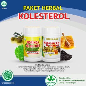 Obat Herbal Buat Kolesterol Dan Darah Tinggi Penurun Darah Tinggi