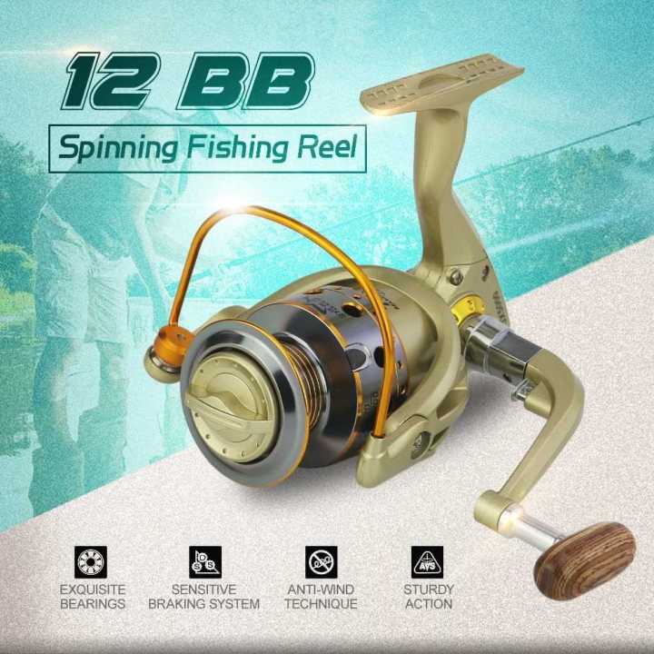 darcy fishing reel BAWHO Supplies Fish Rocker Arm Fishing Reel Smooth Fishing Vess 12+1 Metal Wire Cup Gapless Fish Wheel/Type 4000 Sports & Outdoors Eating Whatever I Catch From