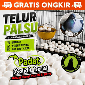 SEMPATI Telur Palsu Merpati Premium Import Telur Merpati Padat Heavy Solid Dummy Egg Fake Egg Replika Telur Imitasi Untuk Merpati Ayam Kate Pengeraman Burung Berkualitas