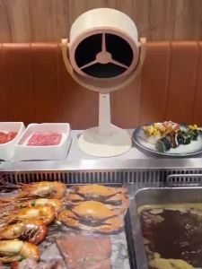 [GVD5]Home  Range Hood Hot Pot Barbecue BBQ Party Portable Desktop Mobile Hood Odor Cleaner USB Charging with Filter Cotton