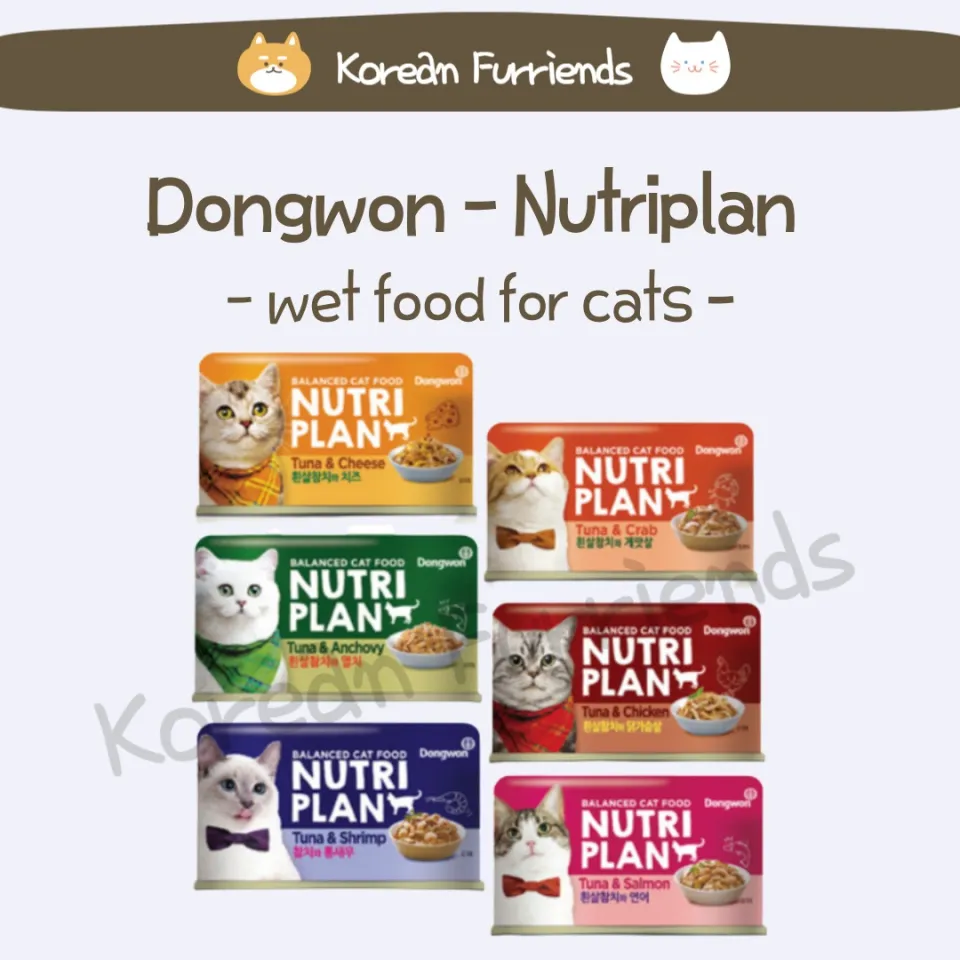 Korean Cat Wet Food Nutriplan Cat Wet Food Cat Canned Wet Food Cat