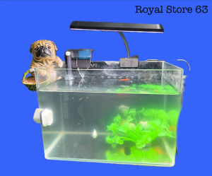 Cún Mặt Xệ Đu Thành Bể Cá (Trang Trí Bể Cá Cảnh) (Size 16cm)